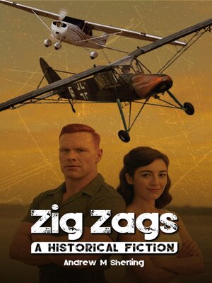 cover image of Zig Zags